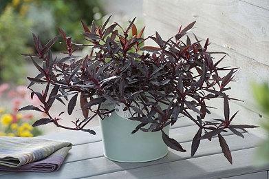 《FUBUKI~zero in on Holoearth～》现已登陆“SteamNextFest