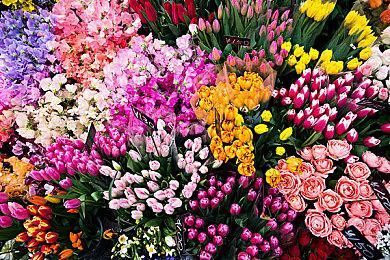 《全面战争：战锤3》将改进战役AI 调整AI攻击性